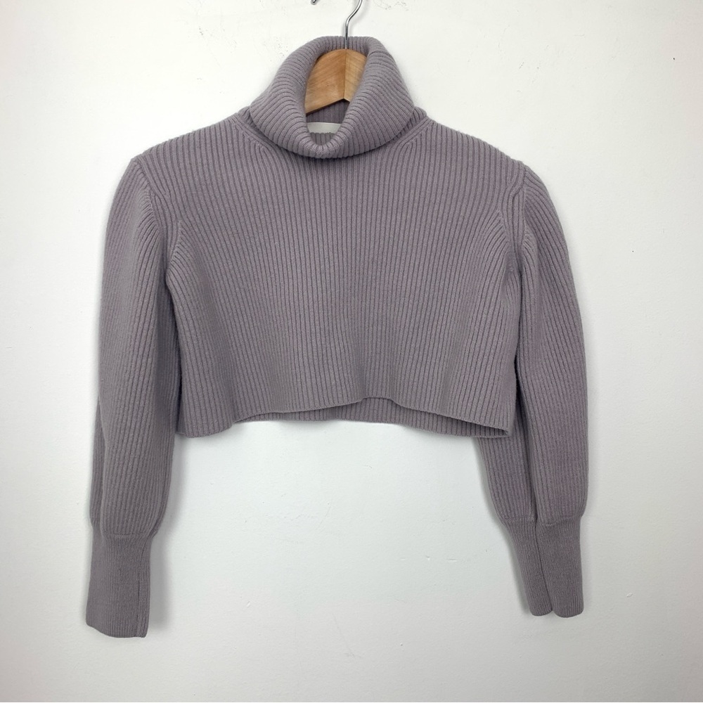 Aritzia Wilfred Cropped Turtleneck